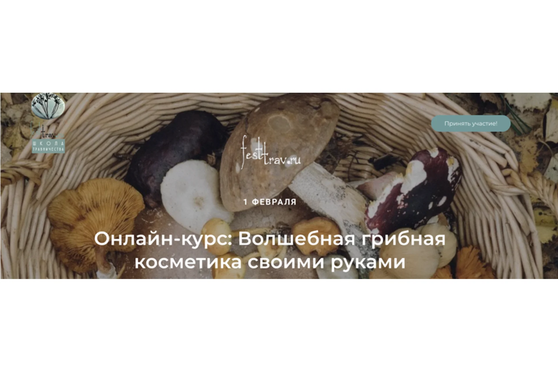 Волшебная грибная косметика своими руками (Татьяна Чуйкина), фото 1 из 1.