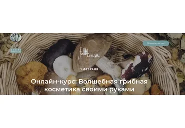 Волшебная грибная косметика своими руками (Татьяна Чуйкина)