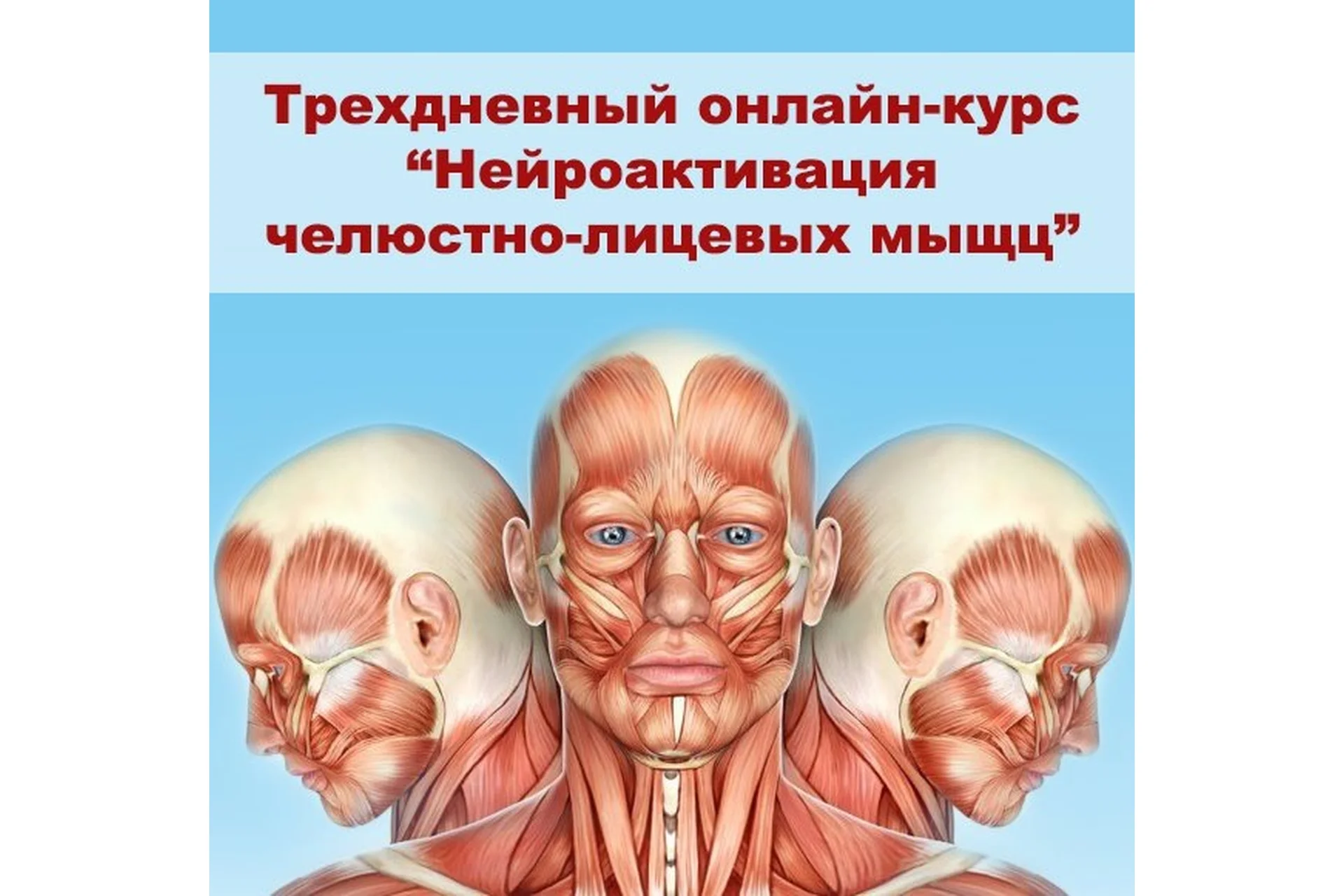 Нейроактивация челюстно-лицевых мышц (Александр Киреев, Татьяна и Евгений Коган), фото 1 из 1.