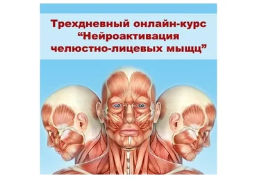 Нейроактивация челюстно-лицевых мышц (Александр Киреев, Татьяна и Евгений Коган)
