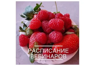 [veryirresistible18] Тарталетки «Тирамису» (Анна Томильчик)