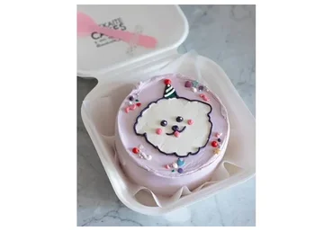 Бенто торт с нуля (auskaite_cakes)