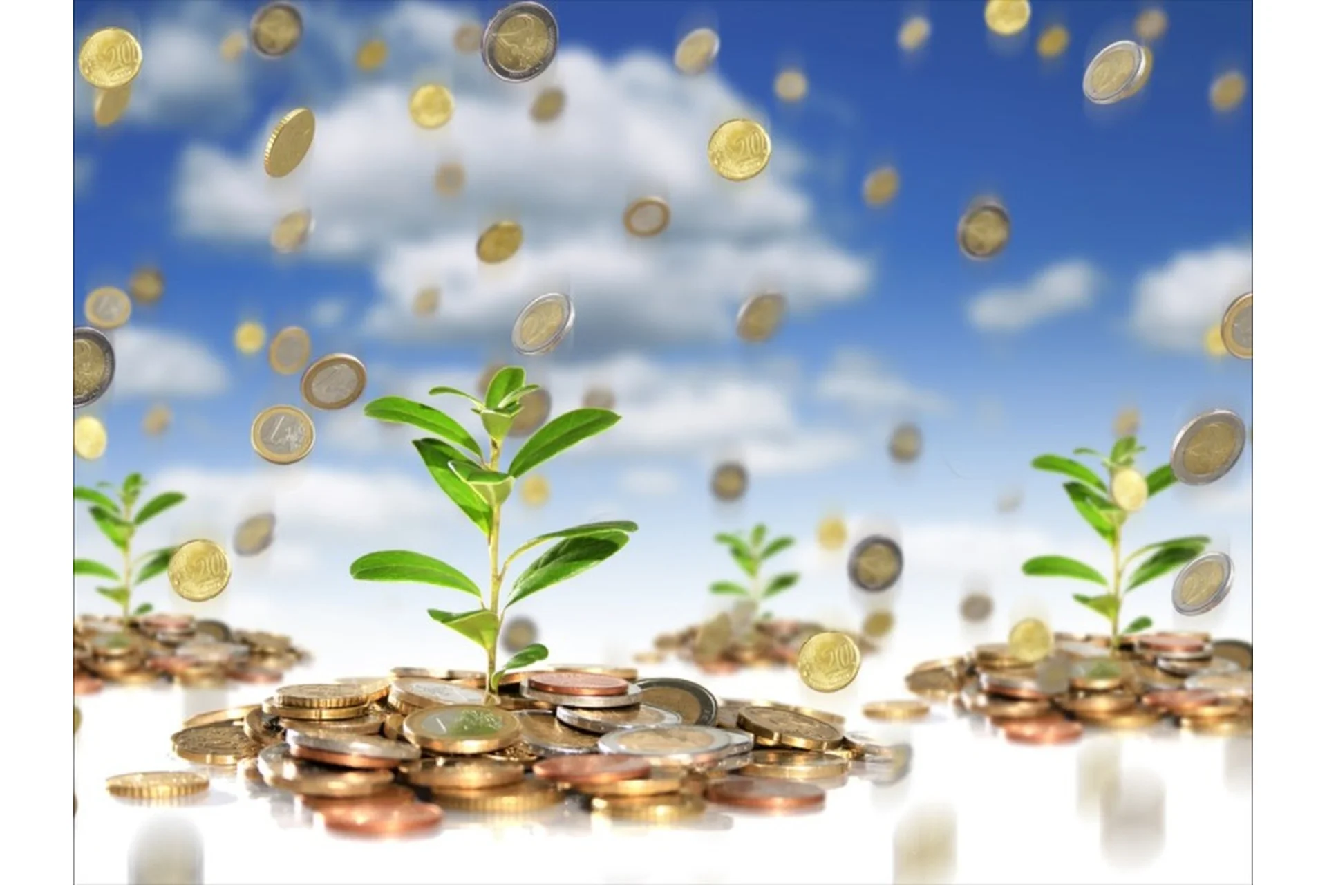 Изобилие online (Александр Брат), фото 1 из 1.