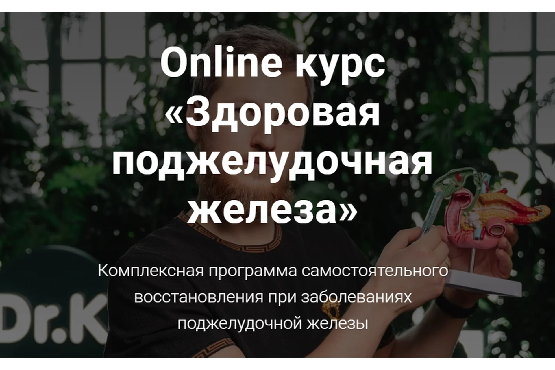 Здоровая поджелудочная железа (Тимофей Кармацкий), фото 1 из 1.