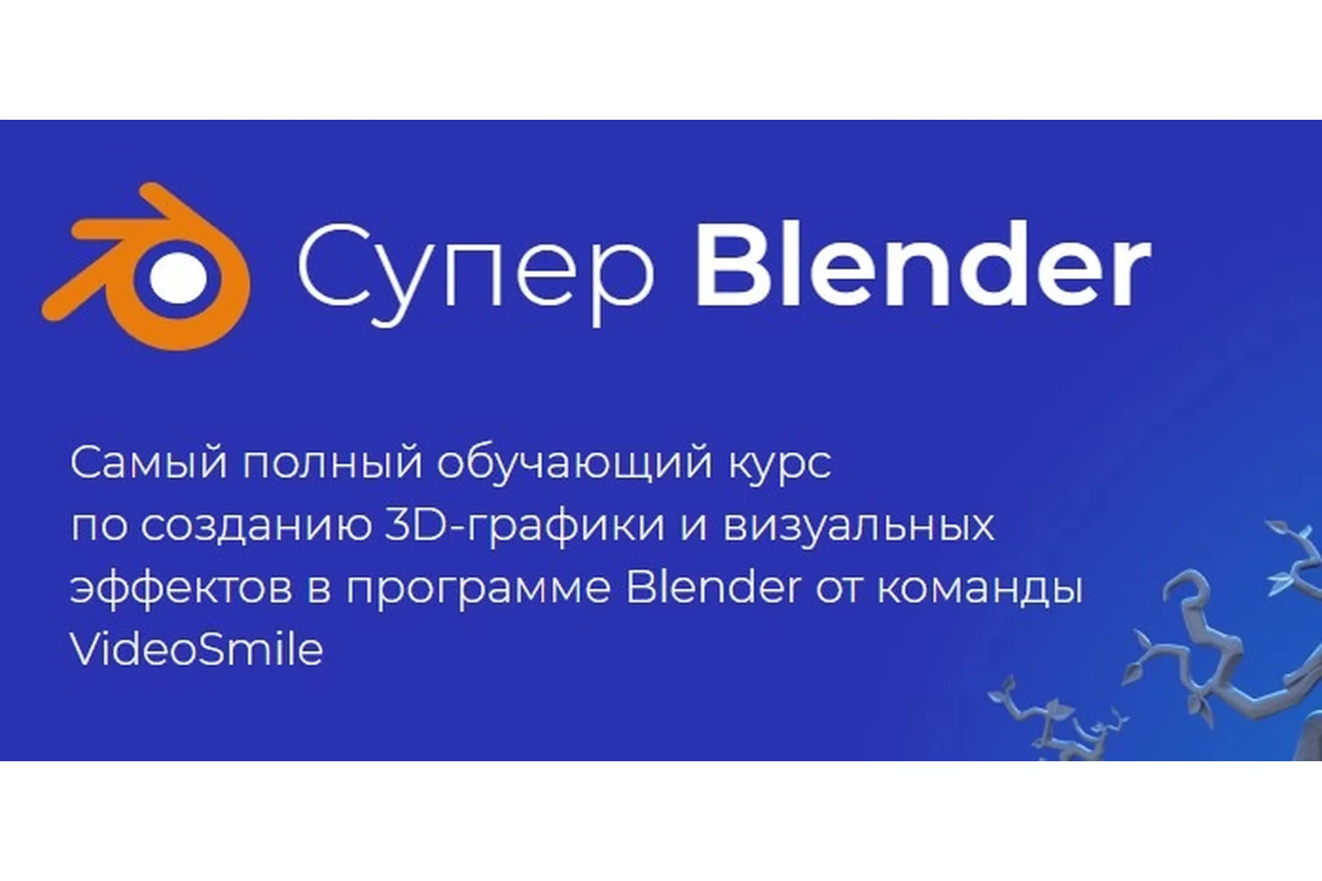 [videosmile] Супер Blender, 2020 (Артем Слаква), фото 1 из 1.