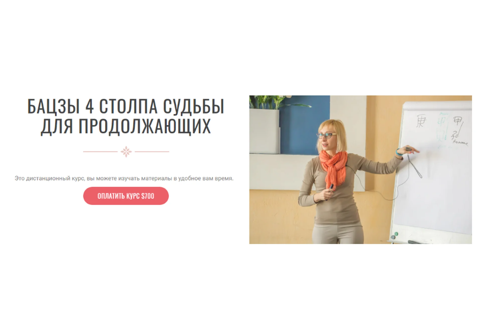 Бацзы 4 столпа судьбы для продолжающих (Инна Волкова), фото 1 из 1.