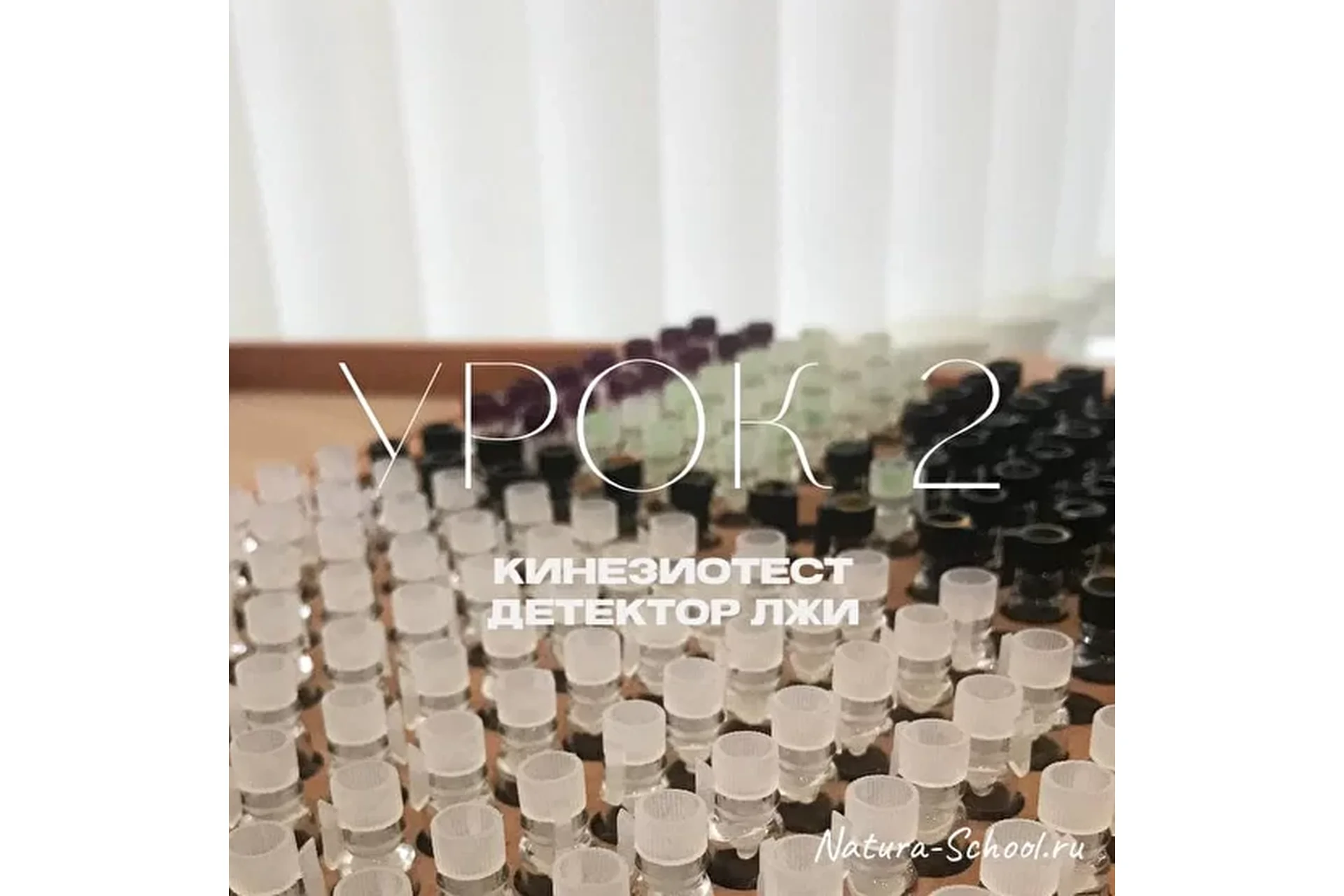 [Natura-School] Урок 2. Кинезиотест - детектор лжи (Олег Гитбиндер), фото 1 из 1.