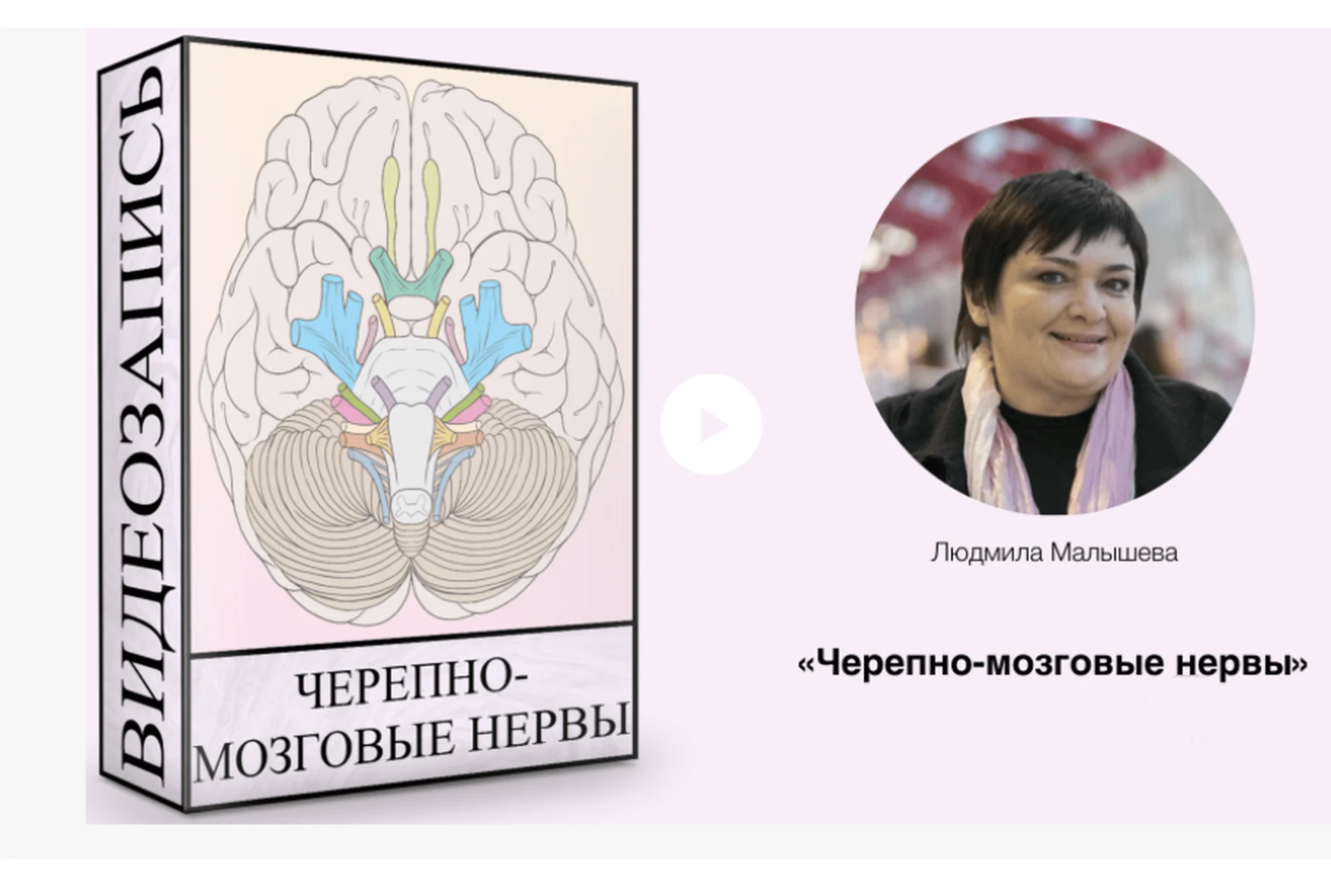 Черепно-мозговые нервы (Людмила Малышева), фото 1 из 1.