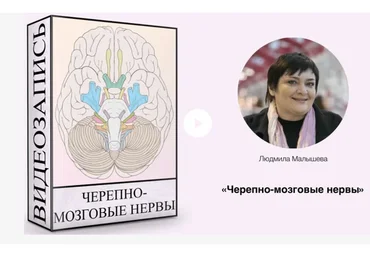 Черепно-мозговые нервы (Людмила Малышева)