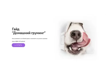 [Kinolog School] Гайд «Домашний груминг» (Татьяна Полетаева)