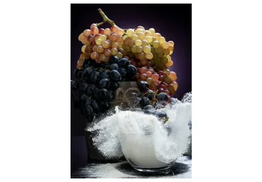 [Bread&Bread] Виноградные дрожжи. Выведение. Консервация. Использование (Сергей Кириллов)