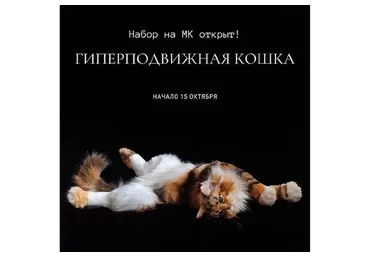 Гиперподвижная кошка (Оксана Шер)