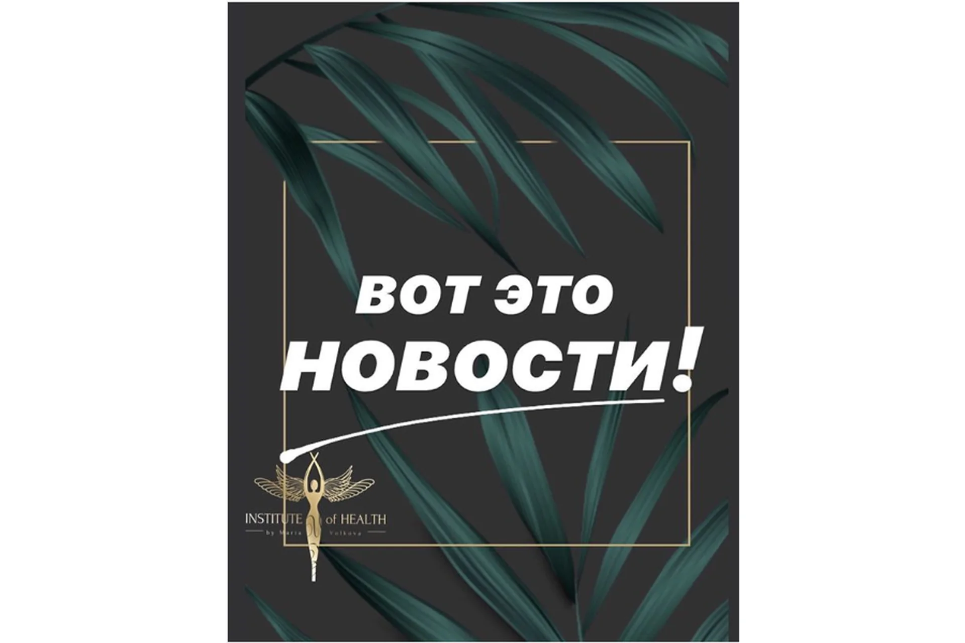 Конференция по мозгу. Интегральный подход к снижению веса на практике(Мария Волкова, Наталья Безгин), фото 1 из 1.