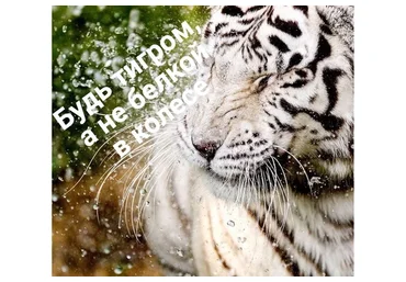 Марафон: Исполнение желаний за 180 дней (Нико Бауман)