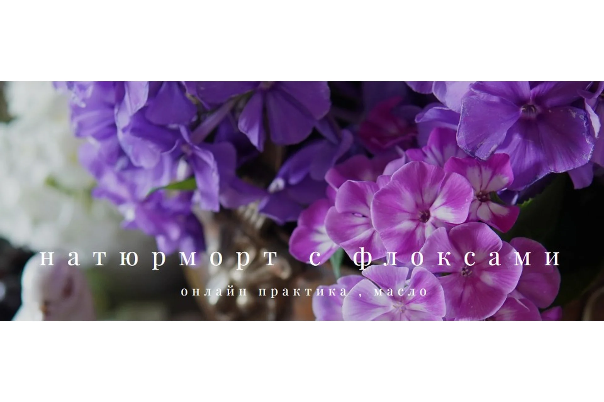 Натюрморт с флоксами (Анастасия Вострецова), фото 1 из 1.