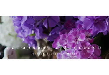 Натюрморт с флоксами (Анастасия Вострецова)