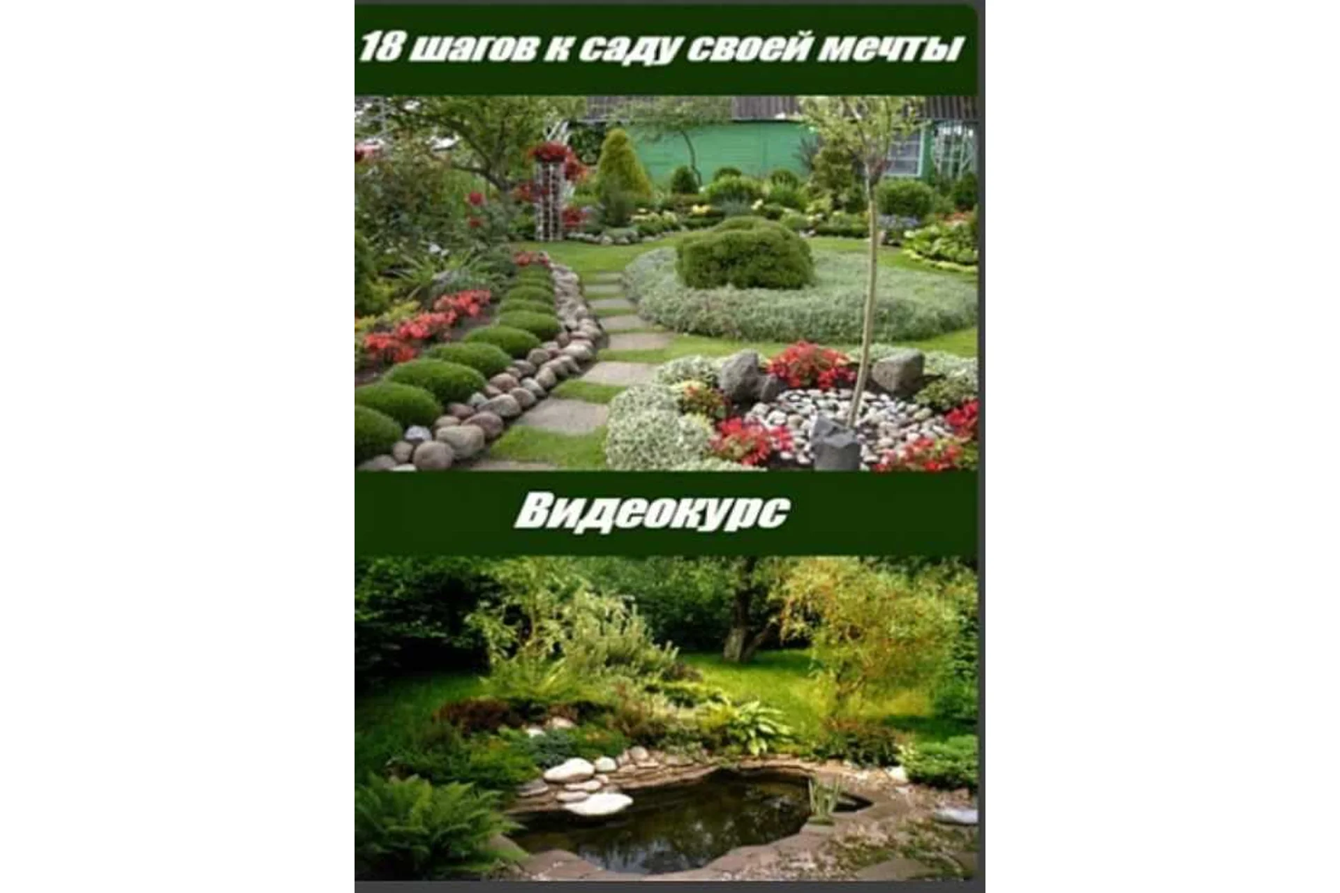 18 шагов к саду своей мечты (Алина Рабушко), фото 1 из 1.