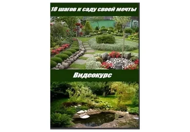 18 шагов к саду своей мечты (Алина Рабушко)