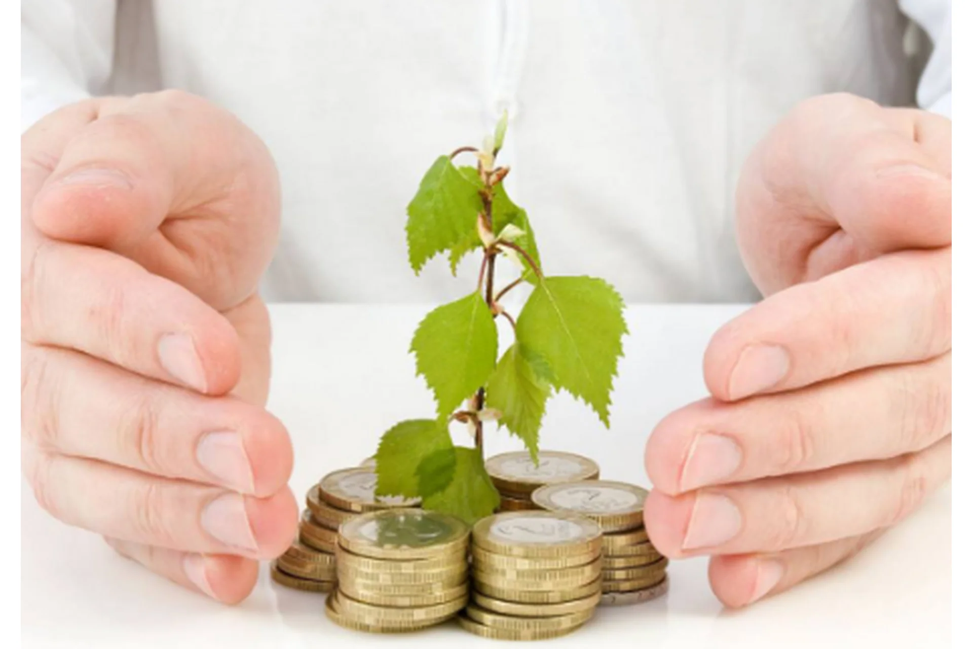 [Lifeexpert] Стратегия финансового роста (Вячеслав Губанов), фото 1 из 1.