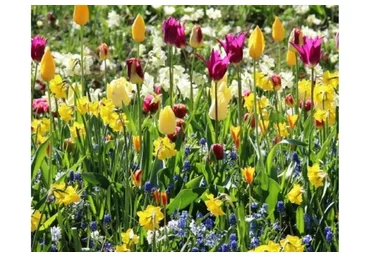 Предчувствие весны (Татьяна Койсман)