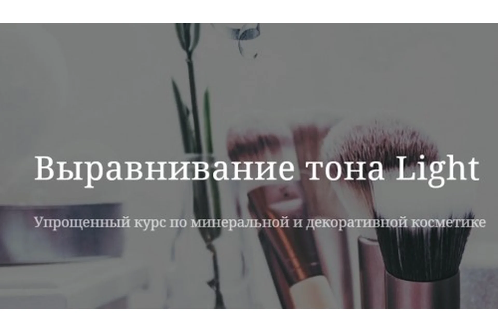 Выравнивание тона Light. Пакет Участник (Наталья Капелюшина), фото 1 из 1.