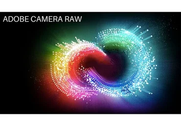 Adobe Camera Raw (Ирина Франк)