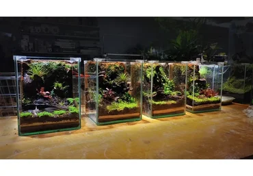 Флорариум - по тропинкам тропиков. Тариф Групповой (Мария Короленко, Георгий Короленко)