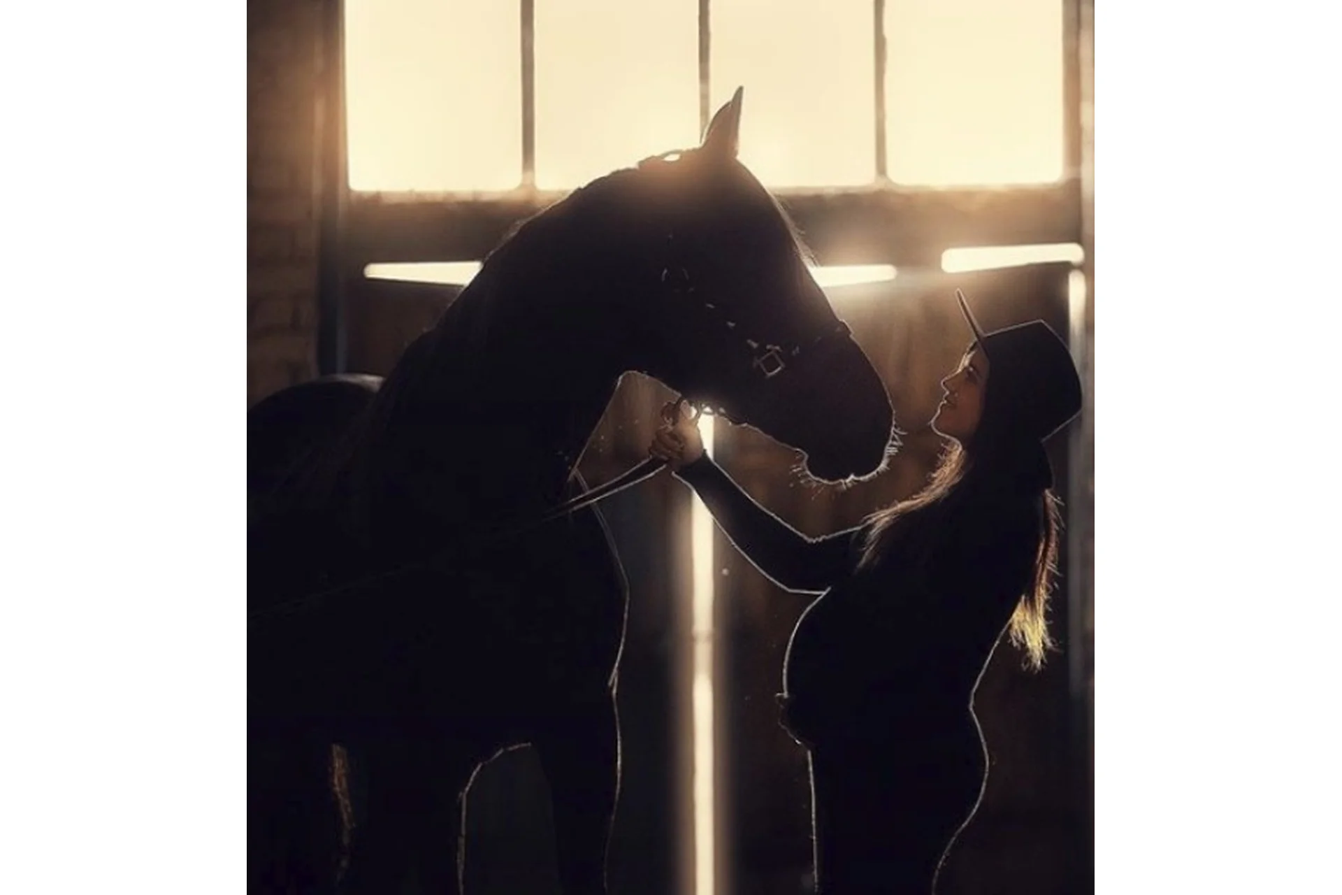 Фотосессии беременности в ожидании чуда (Анастасия Кучина), фото 1 из 1.