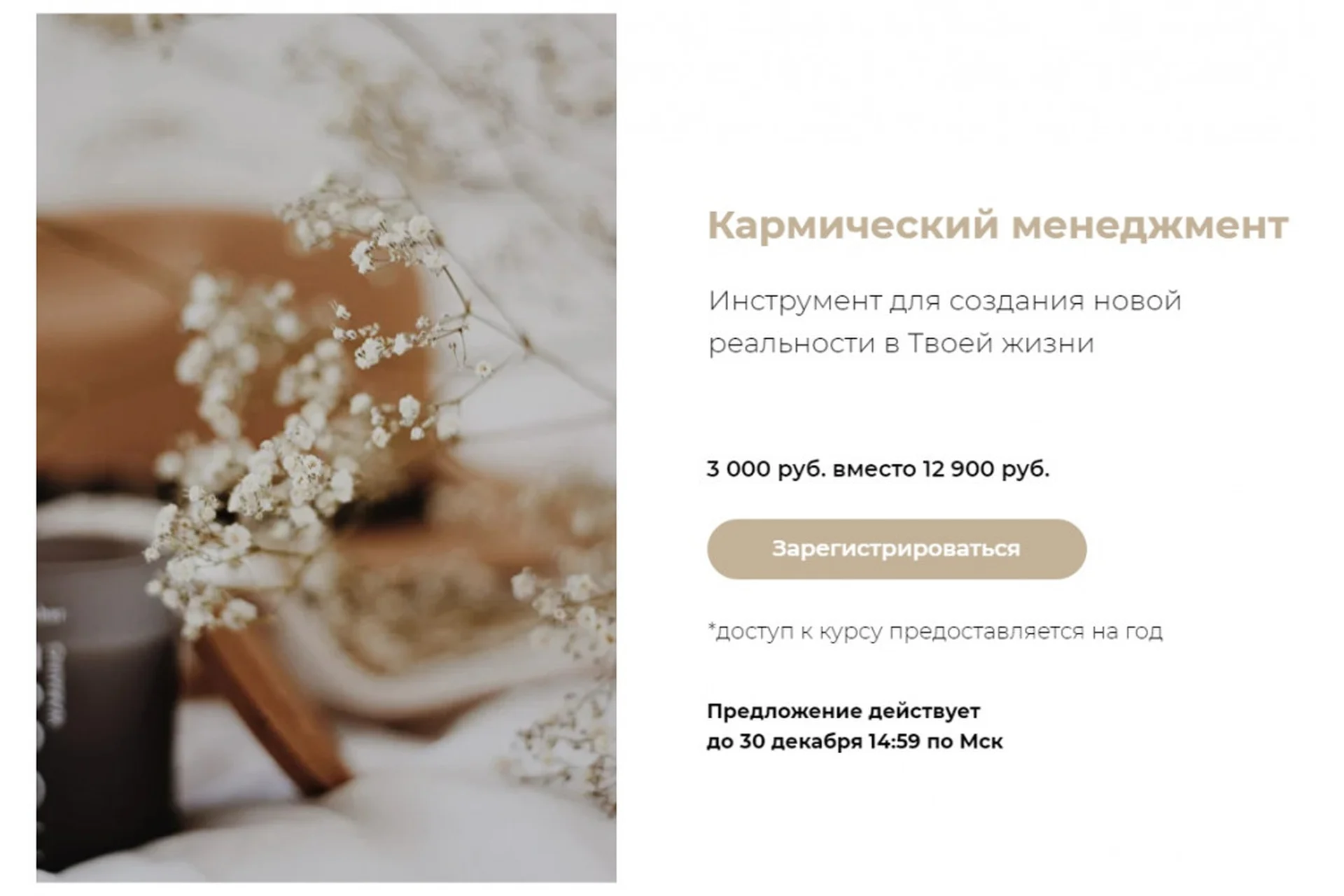 Кармический менеджмент  (Юлия Богацкая), фото 1 из 1.