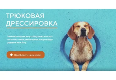 [Kinolog School] Трюковая дрессировка (Антонина Зимарева)