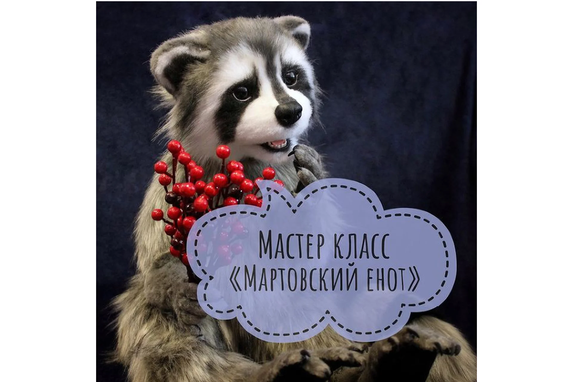 Мартовский Енот (Ирина Соболева), фото 1 из 1.