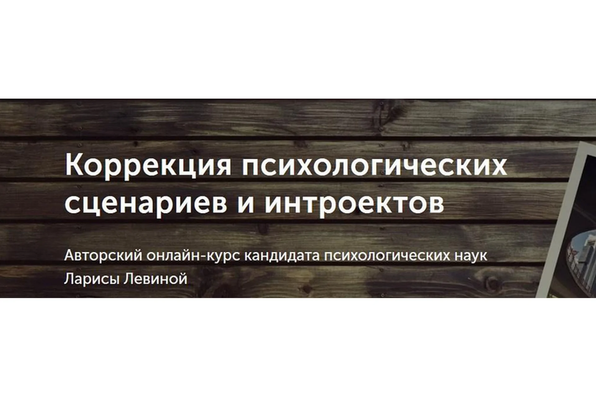 [Метафора] Коррекция психологических сценариев и интроектов (Лариса Левина), фото 1 из 1.