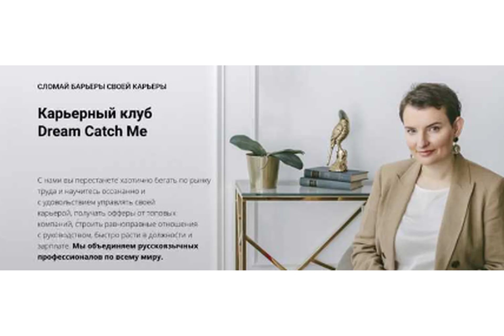 [Dream Catch Me] Эффективное интервью (Ольга Лермонтова), фото 1 из 1.