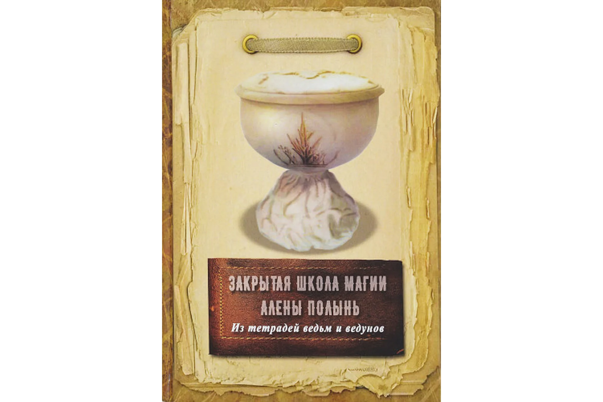 Закрытая школа магии. Из тетрадей ведьм и ведунов (Алена Полынь), фото 1 из 1.