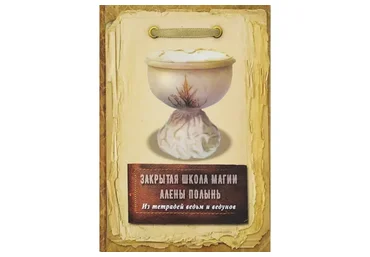 Закрытая школа магии. Из тетрадей ведьм и ведунов (Алена Полынь)