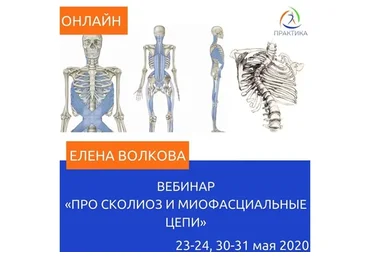 [Центр Практика] Про сколиоз и миофасциальные цепи (Елена Волкова)