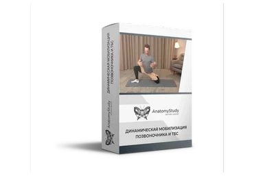 [anatomystudy] Динамическая мобилизация позвоночника и ТБС (Вадим Балюк)