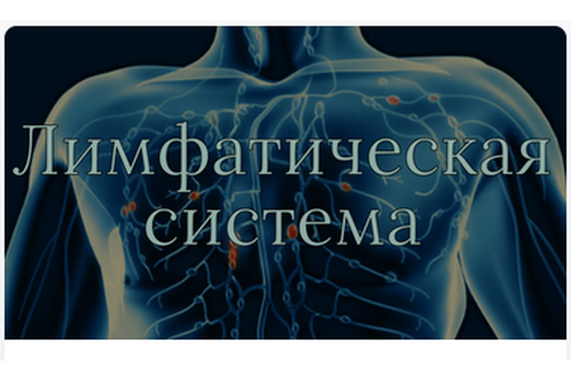 [AnatomyEducation] Модуль 9. Сердечно-сосудистая и лимфатическая система (Эдгар Кафаров), фото 1 из 1.