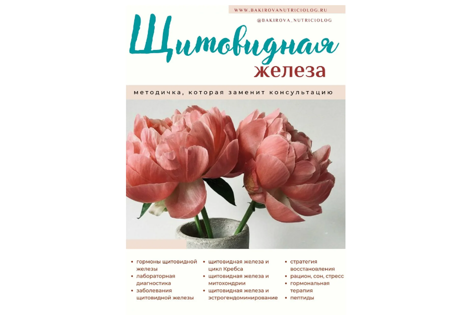 Методичка Щитовидная железа (Анастасия Бакирова), фото 1 из 1.