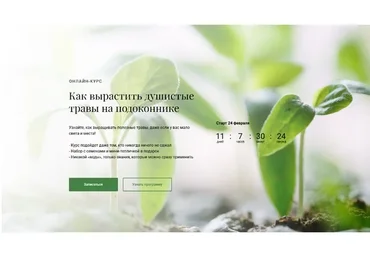 [Обитель] Как вырастить душистые травы на подоконнике (Яна Горбовская)