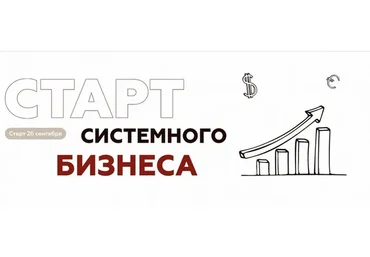 Старт системного бизнеса. Тариф Всё сам (Анна Михайлова)