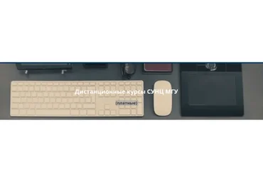 [СУНЦ МГУ] Олимпиадная математика для младших школьников. 3 класс, 1 семестр (Виктория Журавлева)