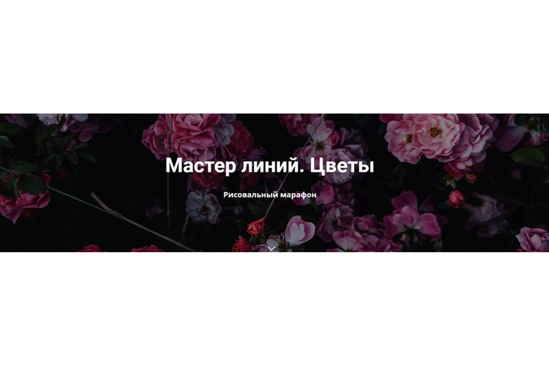 Мастер линий. Цветы. Тариф «Самостоятельное обучение» (Елена Баски), фото 1 из 1.