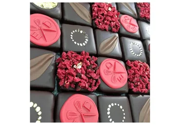 Pralinarium. Дизайн конфет для профессионалов (Андрей Дубовик)