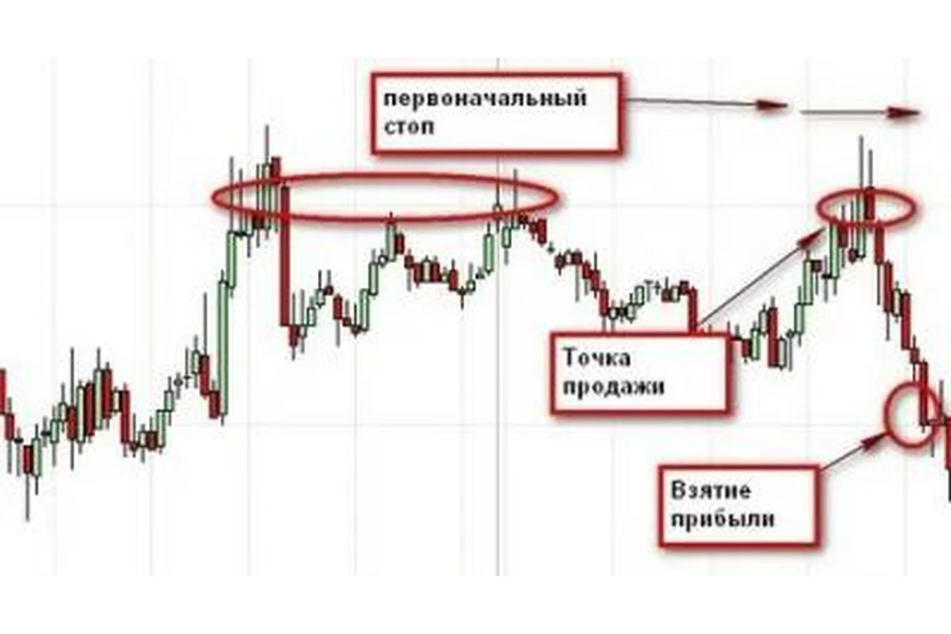 Живое обучение – Безиндикаторная торговля (Станислав Бернухов), фото 1 из 1.