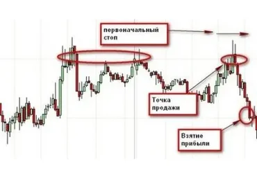 Живое обучение – Безиндикаторная торговля (Станислав Бернухов)