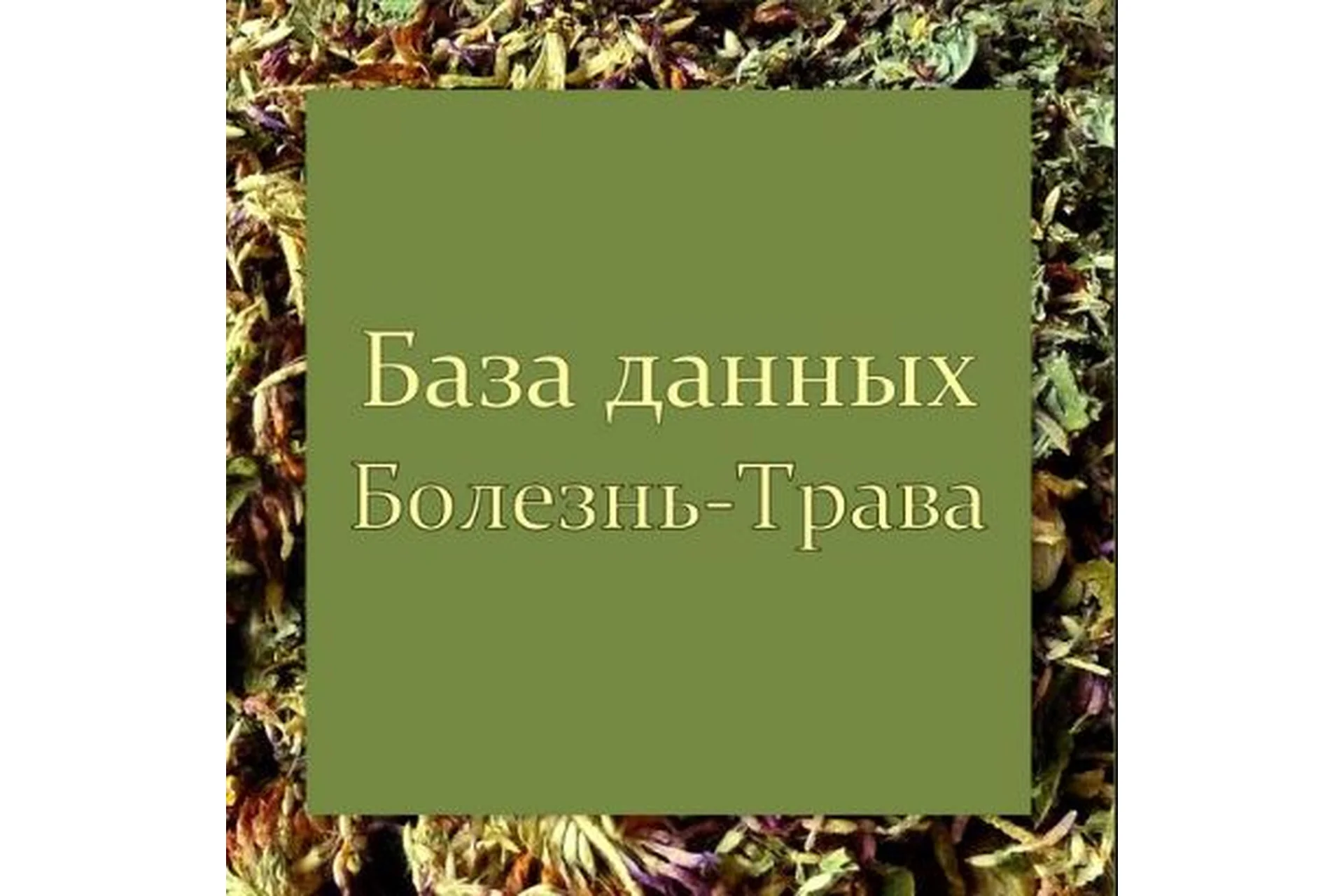[Школа Травоведа] База данных "Болезнь-Трава" (Сергей Апполонов), фото 1 из 1.