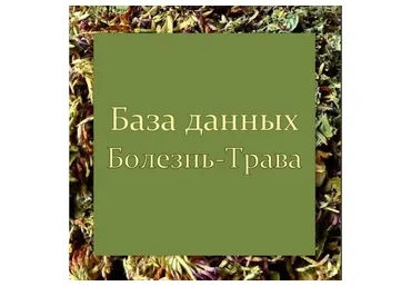 [Школа Травоведа] База данных "Болезнь-Трава" (Сергей Апполонов)