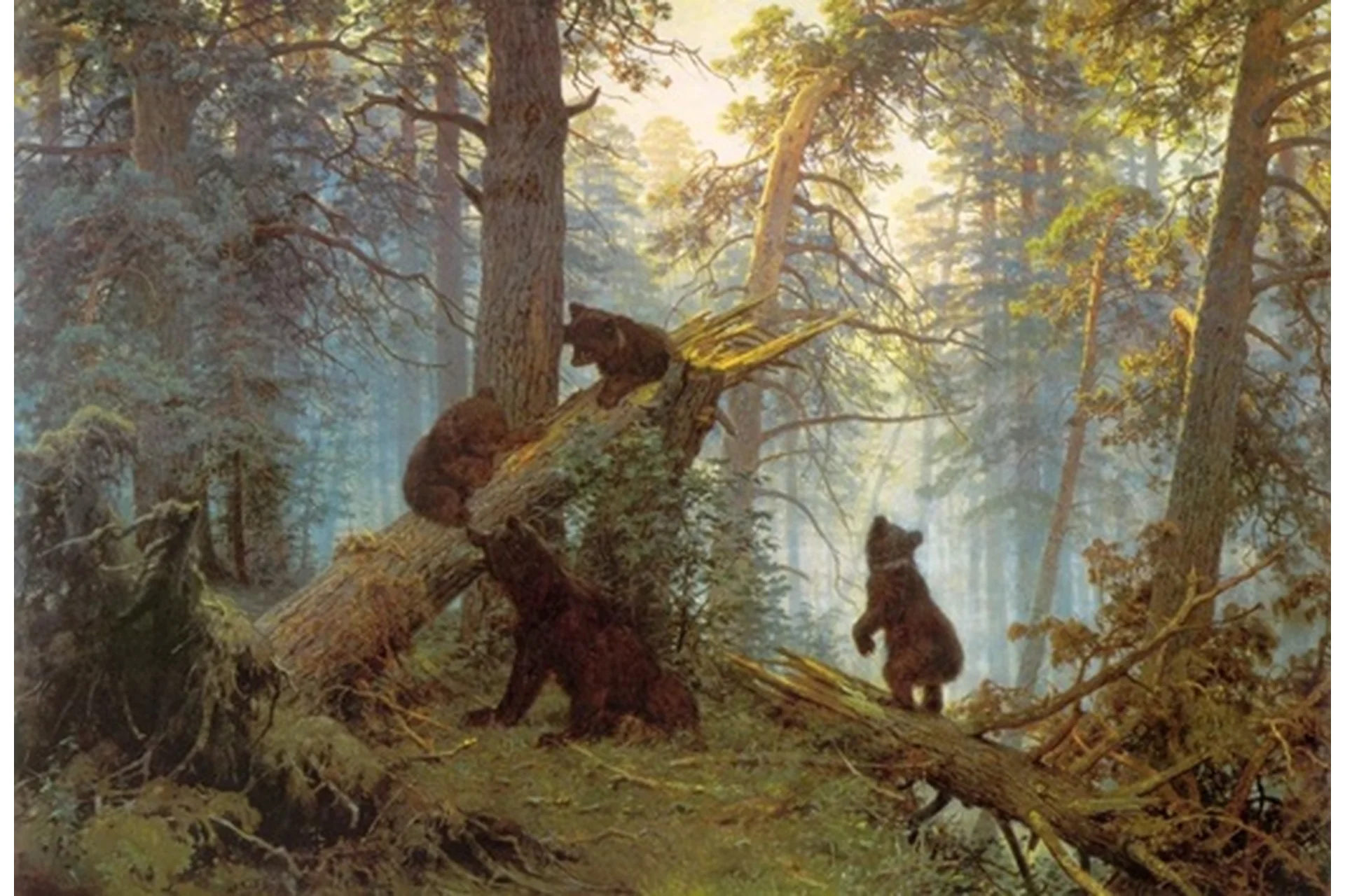 Утро в сосновом лесу. Иван Шишкин (Ольга Базанова), фото 1 из 1.