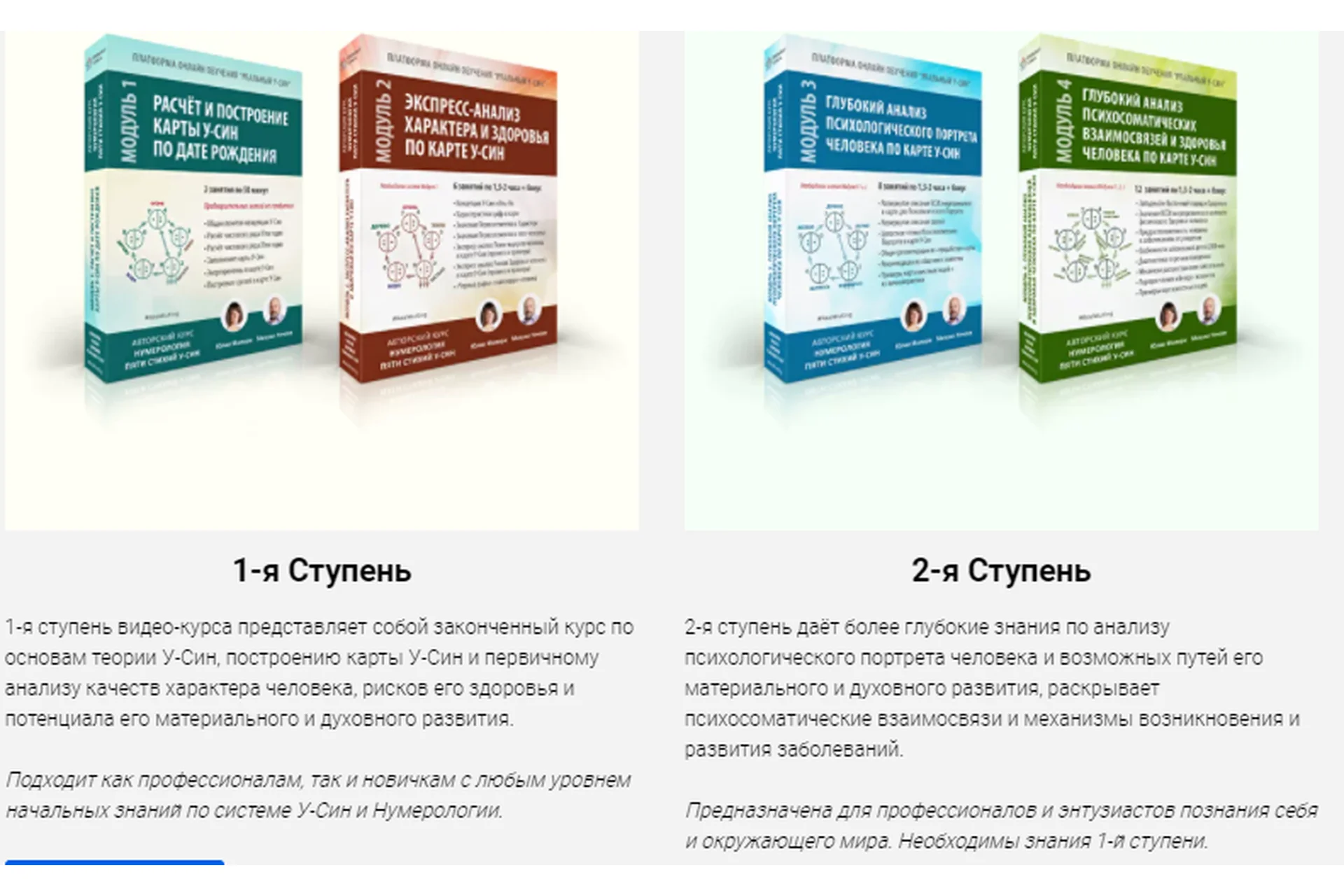 Нумерология пяти стихий у-син. 1-4 модули, 2020 (Юлия Илмари, Михаил Нечаев), фото 1 из 1.